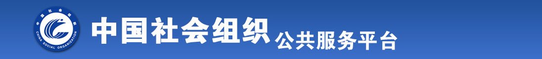 美女被插av逼网站全国社会组织信息查询